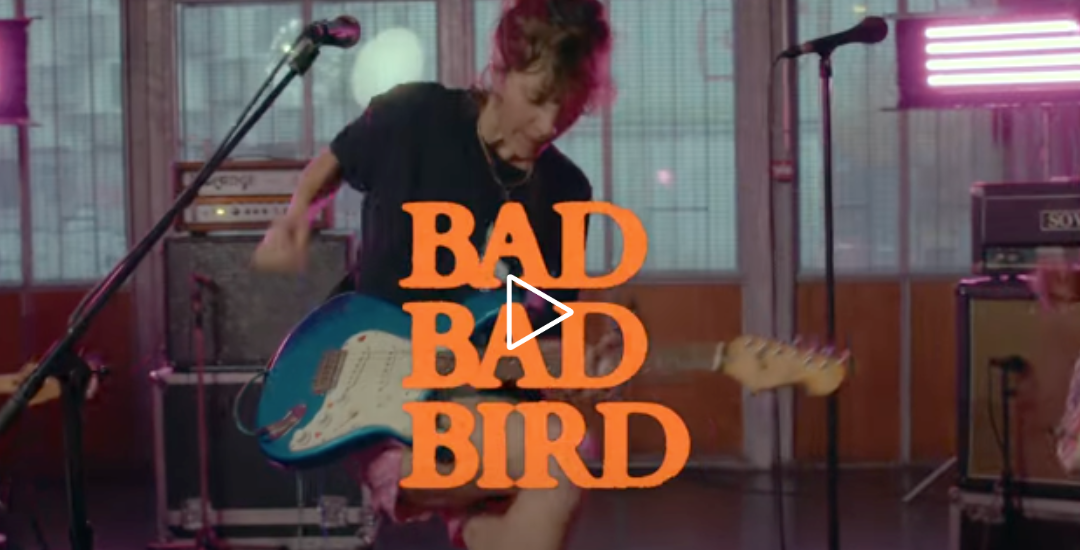 BAD BAD BIRD 100 muscles